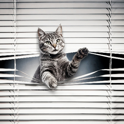 Tenda a rullo interna oscurante modello gatto