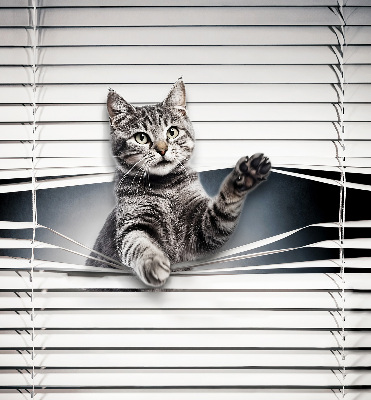 Tenda a rullo interna oscurante modello gatto