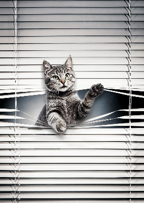 Tenda a rullo interna oscurante modello gatto