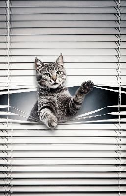 Tenda a rullo interna oscurante modello gatto