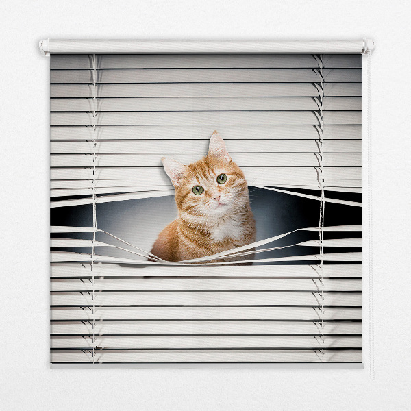 Tenda a rullo oscurante per porta finestra modello gatto rosso