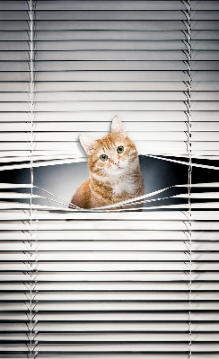 Tenda a rullo oscurante per porta finestra modello gatto rosso