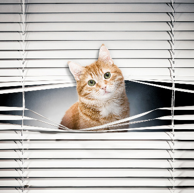 Tenda a rullo oscurante per porta finestra modello gatto rosso