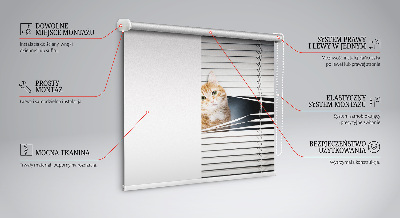 Tenda a rullo oscurante per porta finestra modello gatto rosso