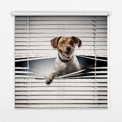 Tenda a rullo oscurante in tessuto modello Cane