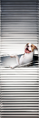 Tenda a rullo oscurante per finestra modello cane
