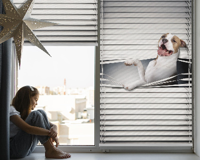Tenda a rullo oscurante per finestra modello cane