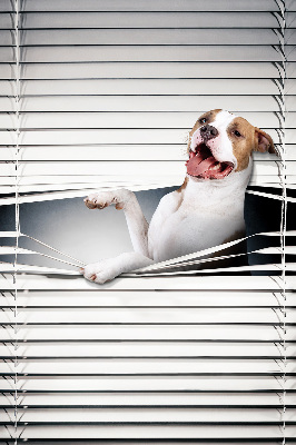 Tenda a rullo oscurante per finestra modello cane