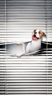 Tenda a rullo oscurante per finestra modello cane