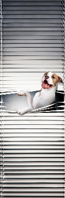 Tenda a rullo oscurante per finestra modello cane