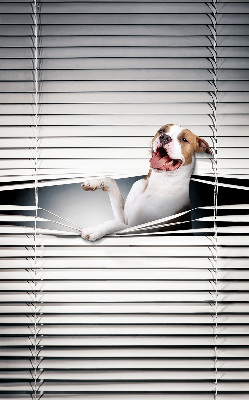 Tenda a rullo oscurante per finestra modello cane