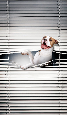 Tenda a rullo oscurante per finestra modello cane