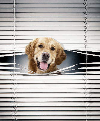 Tenda a rullo interna oscurante modello cane d'oro