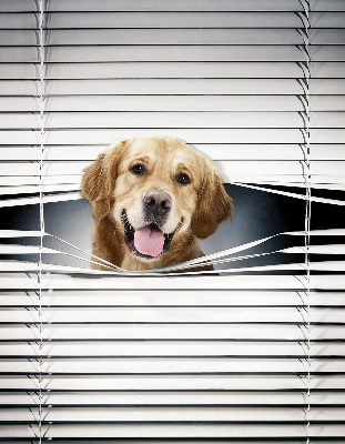 Tenda a rullo interna oscurante modello cane d'oro