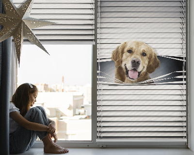 Tenda a rullo interna oscurante modello cane d'oro
