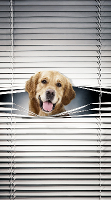 Tenda a rullo interna oscurante modello cane d'oro