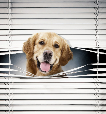 Tenda a rullo interna oscurante modello cane d'oro