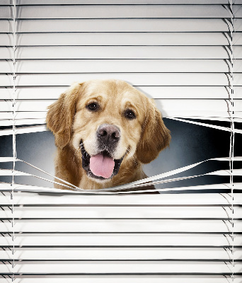 Tenda a rullo interna oscurante modello cane d'oro
