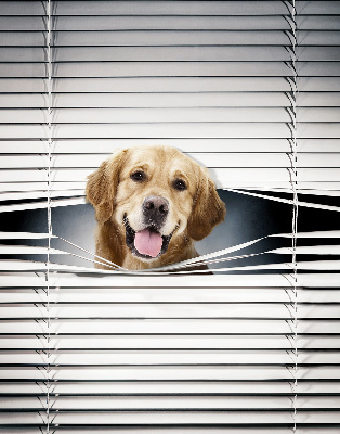 Tenda a rullo interna oscurante modello cane d'oro