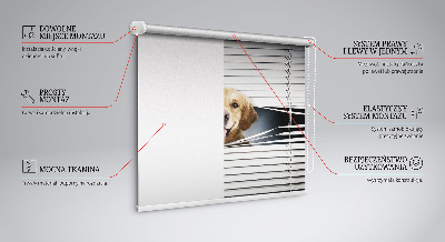 Tenda a rullo interna oscurante modello cane d'oro