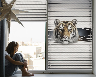 Tenda a rullo oscurante modello Tigre per porta finestra