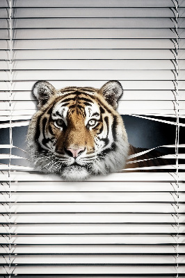 Tenda a rullo oscurante modello Tigre per porta finestra