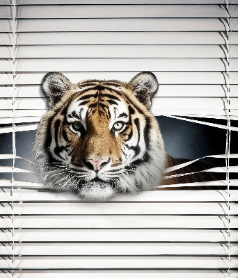 Tenda a rullo oscurante modello Tigre per porta finestra