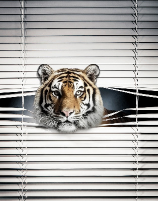 Tenda a rullo oscurante modello Tigre per porta finestra