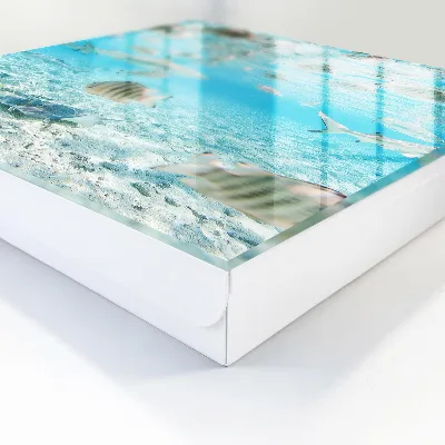 Scatola porta chiavi Vita acquatica