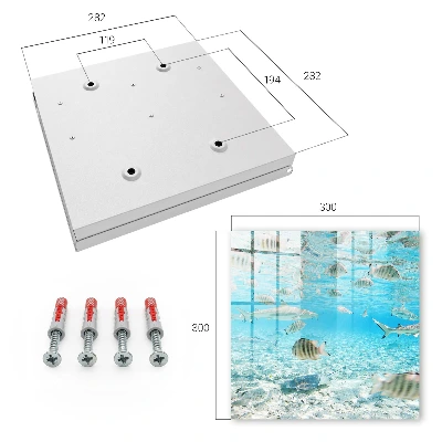 Scatola porta chiavi Vita acquatica