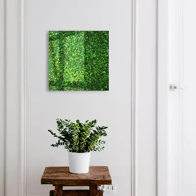 Scatola porta chiavi Giardino verde