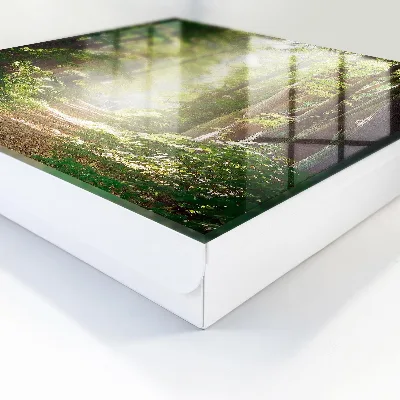 Cassetta portachiavi da parete Paesaggio forestale
