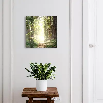 Cassetta portachiavi da parete Paesaggio forestale