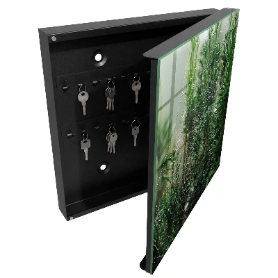 Scatola porta chiavi Ragnatela nella foresta