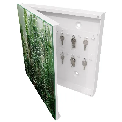 Scatola porta chiavi Ragnatela nella foresta