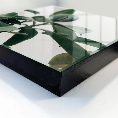 Scatola porta chiavi Foglie di Ficus