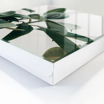 Scatola porta chiavi Foglie di Ficus
