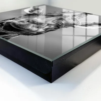 Armadietto portachiavi Ritratto di giraffa