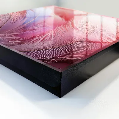 Cassetta portachiavi da parete Bellissime piume rosa