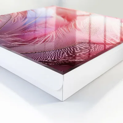 Cassetta portachiavi da parete Bellissime piume rosa