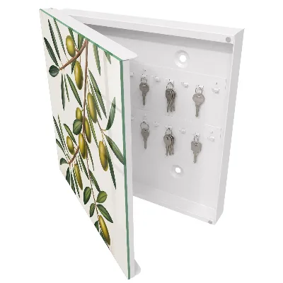 Scatola porta chiavi Olive su un ramo