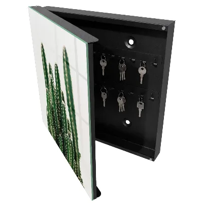 Armadietto portachiavi Cactus verdi