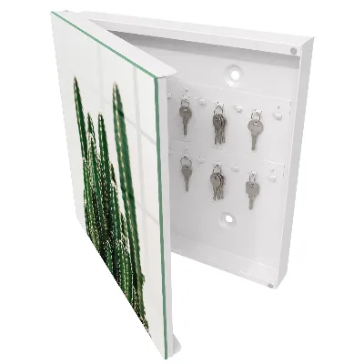 Armadietto portachiavi Cactus verdi
