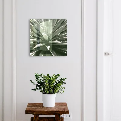 Scatola porta chiavi Agave