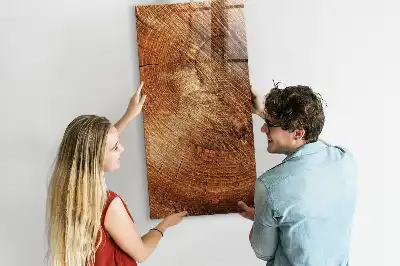 Lavagna magnetica con pennarello modello didattico a sezione trasversale di un tronco