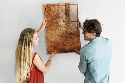 Lavagna magnetica con pennarello modello didattico a sezione trasversale di un tronco