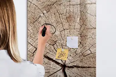 Lavagna magnetica cancellabile a secco con sezione trasversale di un tronco