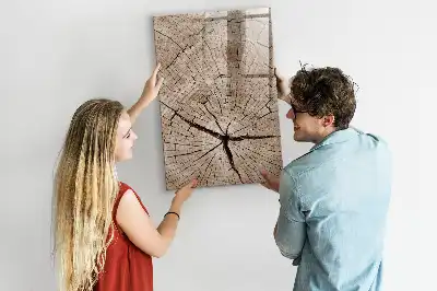 Lavagna magnetica cancellabile a secco con sezione trasversale di un tronco