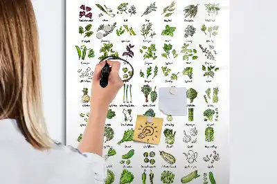 Lavagna magnetica cancellabile a secco Verdure verdi