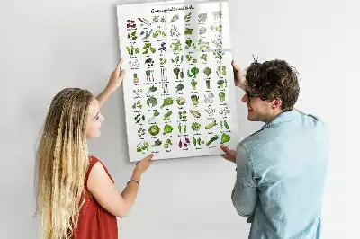 Lavagna magnetica cancellabile a secco Verdure verdi